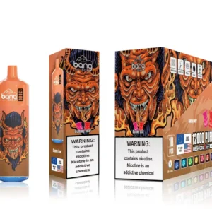 Bang Box 12000 Puffs 0% 2% 3% 5% Vente en gros de vape jetable rechargeable à la nicotine - FishVape - 16