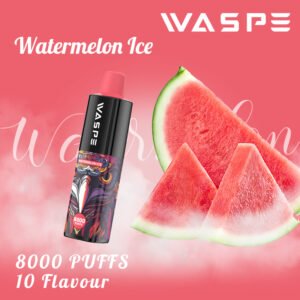 WASPE 8000 PUFFS 0% 2% 3% 5% Nicotina Vape desechable al por mayor - FishVape - 13