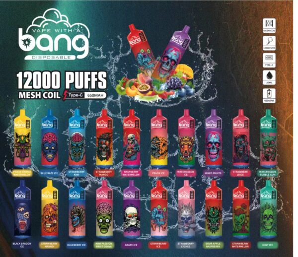 Bang Box 12000 Puffs 0% 2% 3% 5% Vente en gros de vape jetable rechargeable à la nicotine - FishVape - 1