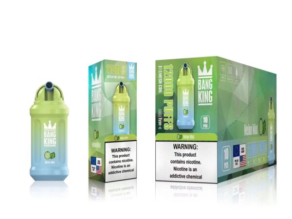 Bang King 12000 Puffs 0% 2% 3% 5% Vente en gros de vape jetable rechargeable à la nicotine - FishVape - 15