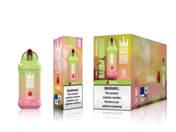 Bang King 12000 Puffs 0% 2% 3% 5% Vente en gros de vape jetable rechargeable à la nicotine - FishVape - 16
