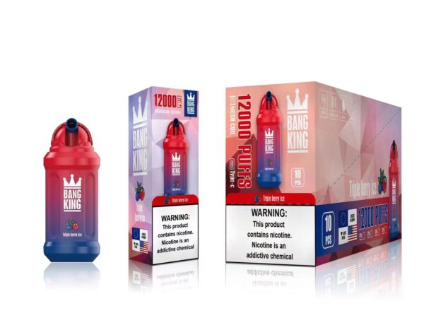 Bang King 12000 Puffs 0% 2% 3% 5% Vente en gros de vape jetable rechargeable à la nicotine - FishVape - 21