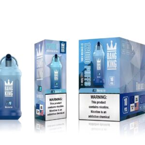 Bang King 12000 Puffs 0% 2% 3% 5% Vente en gros de vape jetable rechargeable à la nicotine - FishVape - 25