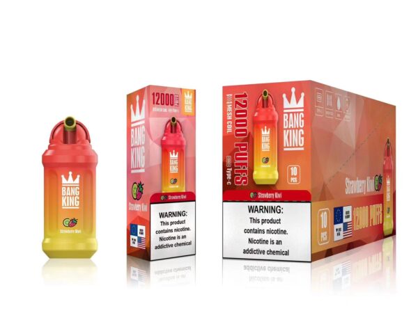Bang King 12000 Puffs 0% 2% 3% 5% Vente en gros de vape jetable rechargeable à la nicotine - FishVape - 9