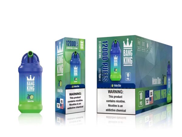 Bang King 12000 Puffs 0% 2% 3% 5% Vente en gros de vape jetable rechargeable à la nicotine - FishVape - 10