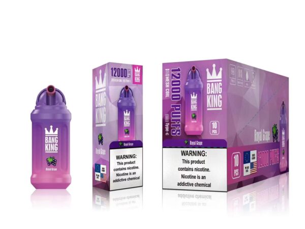 Bang King 12000 Puffs 0% 2% 3% 5% Vente en gros de vape jetable rechargeable à la nicotine - FishVape - 11