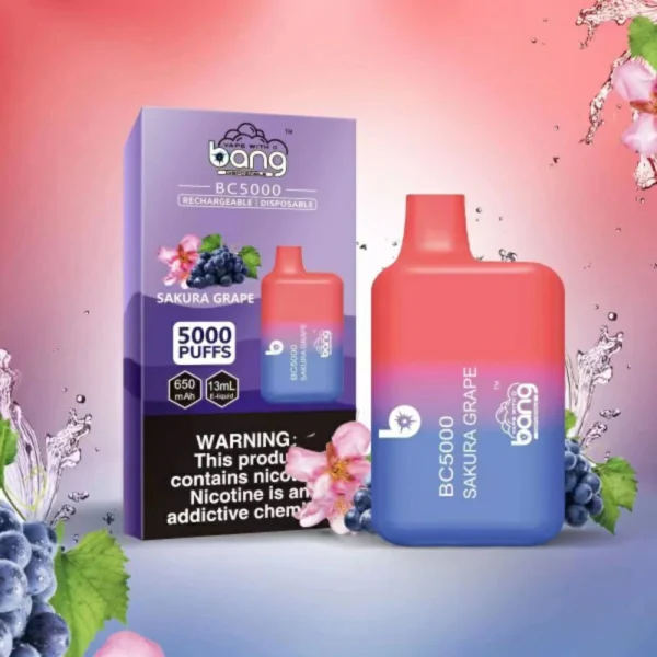 Bang BC 5000 Puffs 0% 2% 3% 5% Stylo vape jetable rechargeable à faible teneur en nicotine en vrac Acheter en gros - FishVape - 7