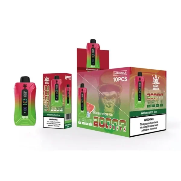 Bang Beach 20000 Rookwolken 0% 2% 3% 5% Oplaadbare wegwerpvapes-pen met laag nicotinegehalte Bulk Koop groothandel - FishVape - 5