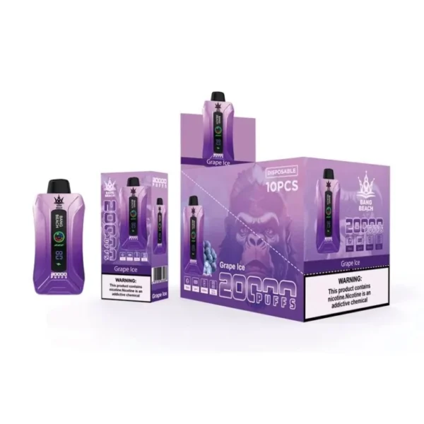 Bang Beach 20000 Rookwolken 0% 2% 3% 5% Oplaadbare wegwerpvapes-pen met laag nicotinegehalte in bulk Koop groothandel - FishVape - 7