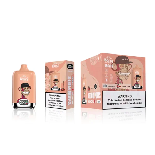 Bang Box 15000 Puffs 0% 2% 3% 5% Faible teneur en nicotine rechargeable en vrac Acheter un stylo vape jetable en gros - FishVape - 5