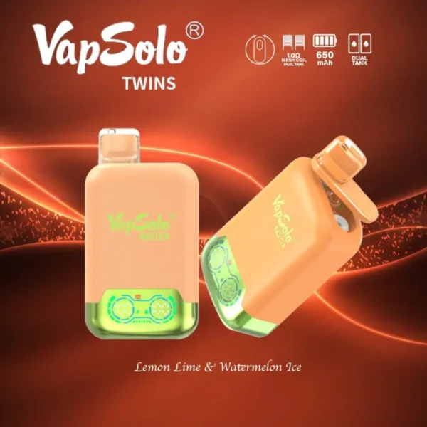 VapSolo Twins 20000 Puffar 2% 5% Uppladdningsbara engångsvapes med låg nikotinhalt Penna Bulk Köp Partihandel - FishVape - 10
